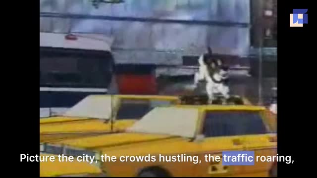 The_Fox_and_the_Hound_Previews_1988_print_360p.mp4