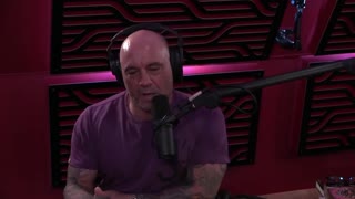 Joe Rogan Says He Would Support Andrew Yang for President