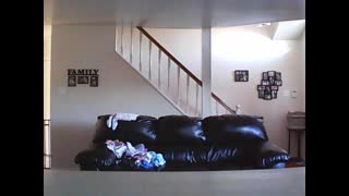 Motion 7