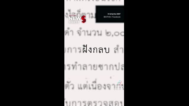 thestandardth