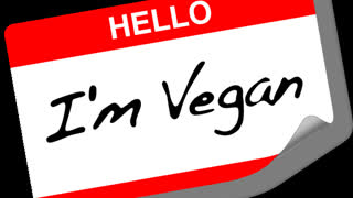 Vegan Food Blog