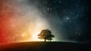 59479-space-stars-trees