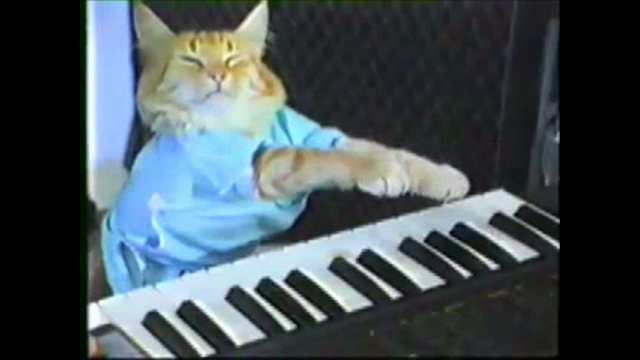 KIRboard Cat