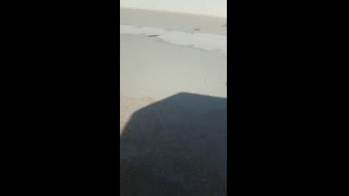 WhatsApp Video 2019-07-10 at 1.06.03 PM