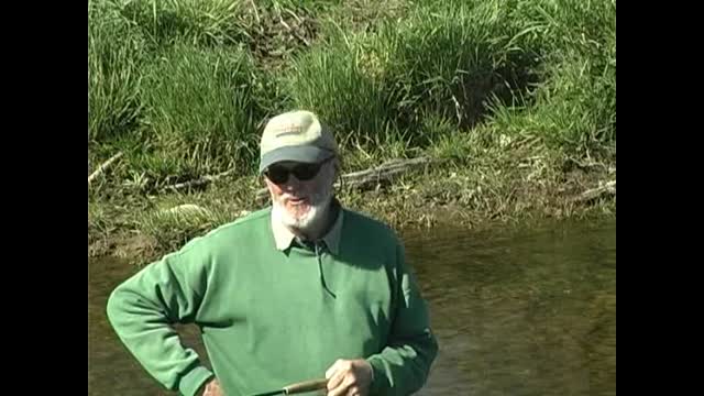 Video Fishing Report
