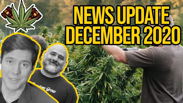 Federal Cannabis Legalization News - December 2020 - Cannabis News Roundup