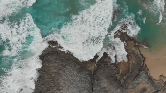 pexels_videos_1409899 (2160p)