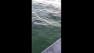VID-20190714-WA0014