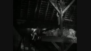 Lassie-Die Eule