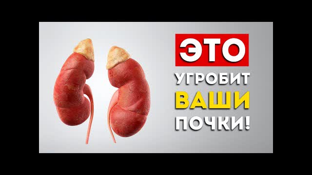 Почки: 3 самых вредных и 4 самых полезных продукта (Это надо знать)