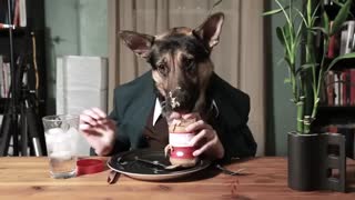 Odin Eating Like a Person