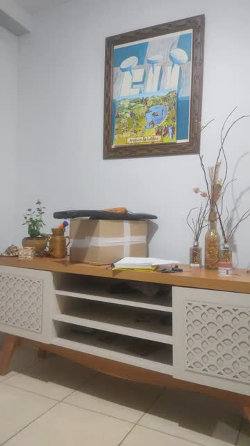 VID_20250727_223118456