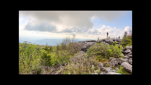 Dolly Sods Wilderness (West Virginia) Backpacking - May 2017