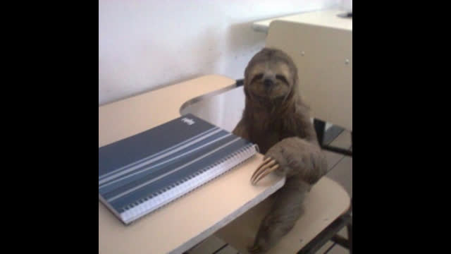 live stream test