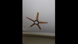 image fan