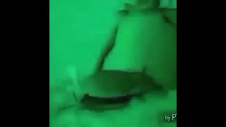 videoplayback