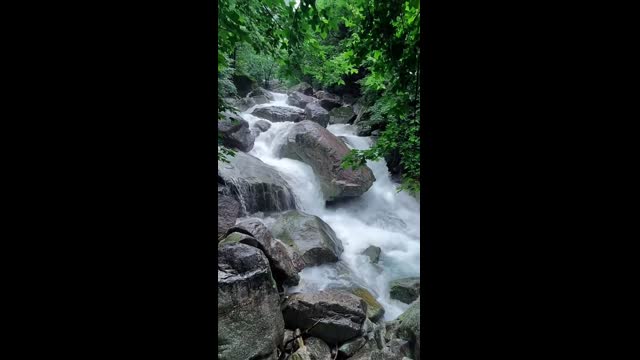 Nature video