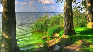 lake beautiful green lake tree nature