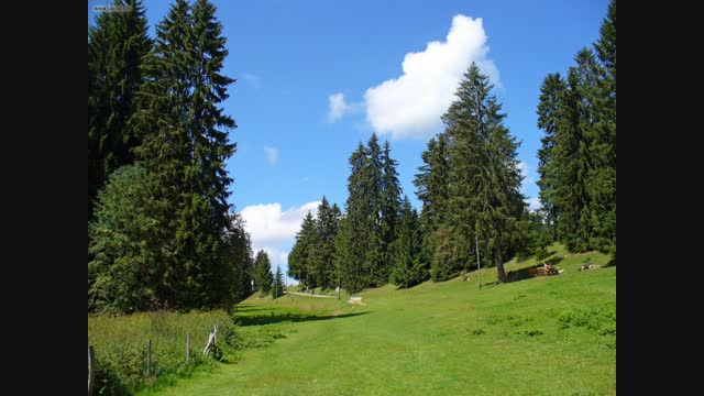 Jura Landscape